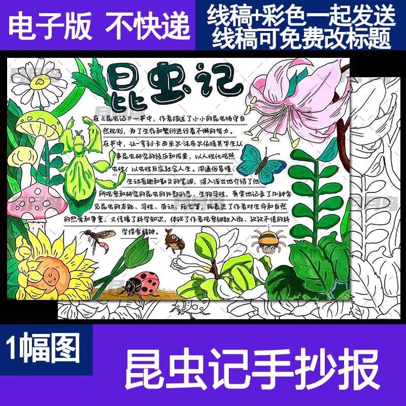 昆虫记手抄报模板电子线稿好书推荐小学阅读必读课外书小报线稿A4