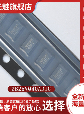 ZB25VQ40ADIG DFN-8 NOR FLASH储存器芯片 集成电路IC