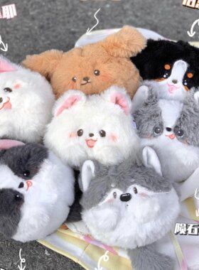 小狗团子咚咚研究所团团
