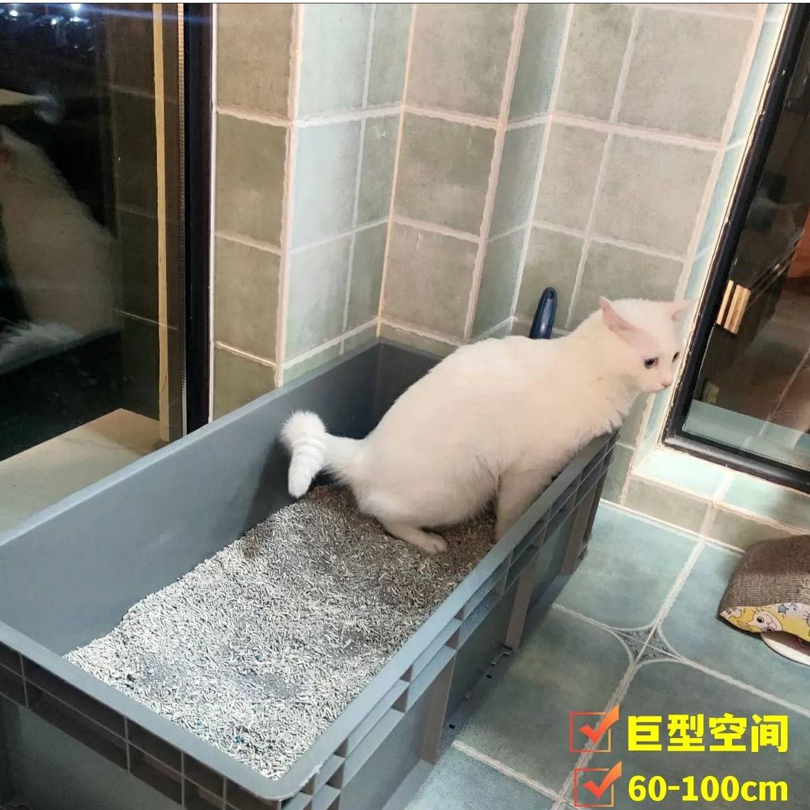物流箱猫砂盆猫砂盆超大号特大号80cm缅因猫巨大号集装箱超级大周