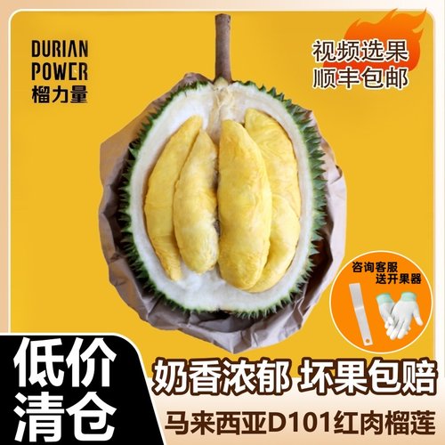 红肉王榴莲正品马来西亚进口D101