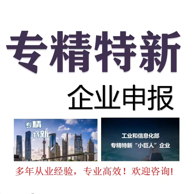 高新技术企业认定申请撰写代报专精特新小巨人补贴技术中心等项目