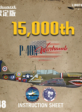 天易模型 牛魔王拼装飞机 11193 1/48 第15000架 P-40N 限定版