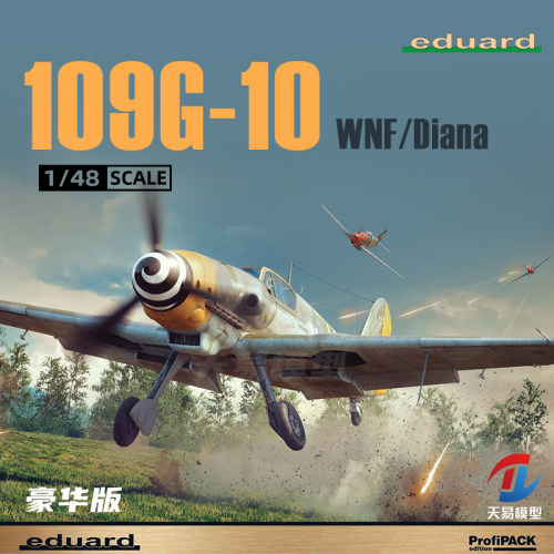 天易模型 牛魔王拼装飞机 82161 109G-10 WNF/Diana 豪华版 1/48