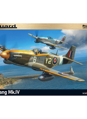 天易模型 牛魔王拼装 82104 野马 Mustang Mk.IV英国空军豪华版