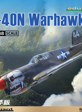 天易模型 牛魔王拼装飞机 82242 1/48 P-40N Warhawk 豪华版