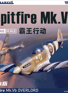 天易模型 牛魔王 84200 喷火 Mk.Vb “霸王行动“ 周末版 1/48