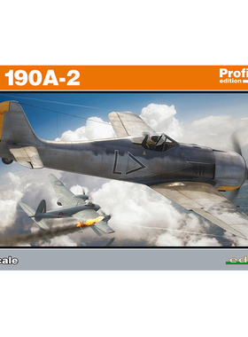 天易模型 牛魔王拼装飞机 R82146 FW190A-2 战斗机 豪华版 1/48