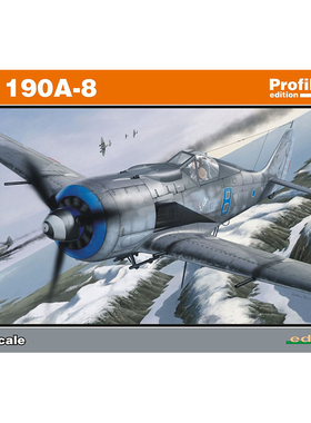天易模型 牛魔王拼装飞机 70111 190A-8 豪华版 1/72