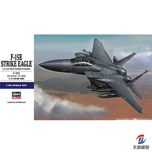 01569 飞机 美国F15E鹰式 战斗机 天易模型 长谷川拼装