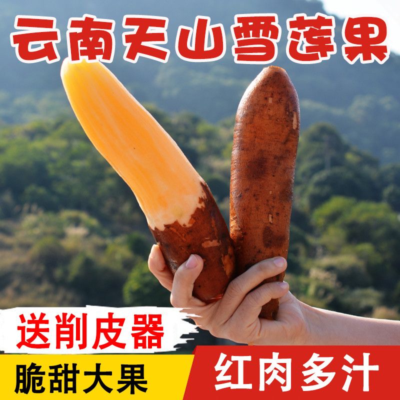 网友分享在meiguo.com的图片