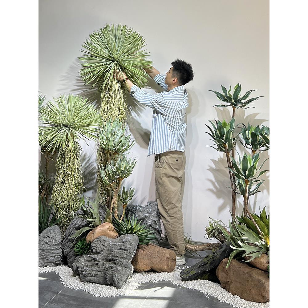 模拟波叶金边龙舌兰稻草人沙漠绿色植物盆栽庭院阳台热带风格景观