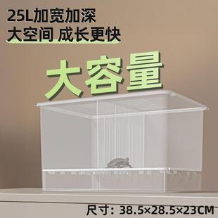 乌龟饲养盒可分隔大号养龟箱果核红面窄桥巴西蛋龟发色盒龟苗隔离