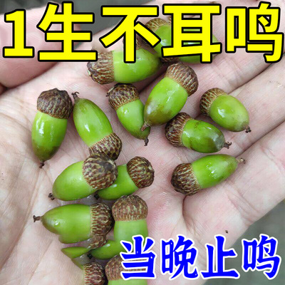 速发【 次止鸣】比顺风耳还牛不耳 鸣1耳不嗡 洱部健康 买2送1 买