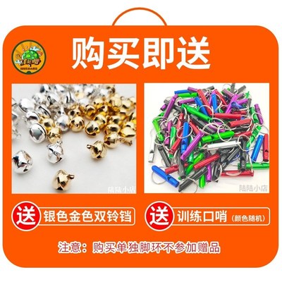 速发鹦鹉放飞绳超轻溜鸟绳玄风虎皮牡丹飞行绳训练鸟链脚链脚环