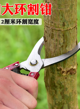 速发户外果树环林环环剥刀环枝剪 园割荔枝柑桔蜜柚剥皮刀剥刀芽