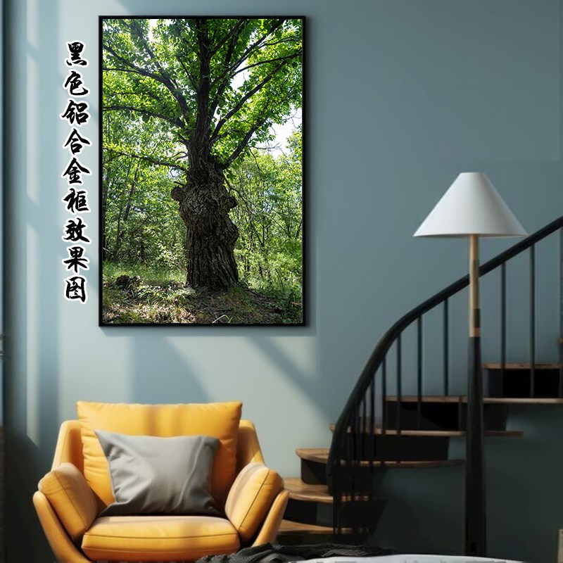 现货速发自然风景树林参天大树客厅玄关装饰挂画绿色草地树木树叶图片