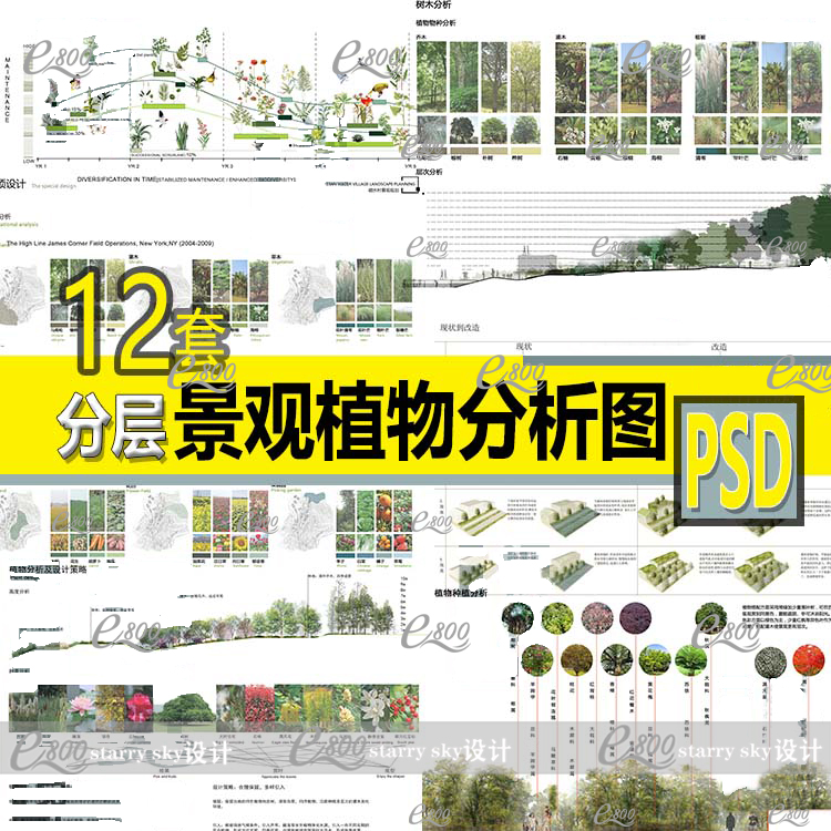 植物分析图psd分层 种植植被 建筑景观环艺城规园林设计ps素材