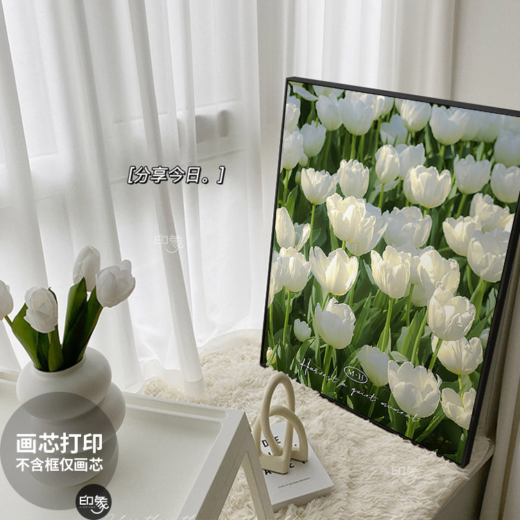 北欧小清新卧室床头装饰画芯餐厅玄关治愈系挂画心郁金香花卉摆画