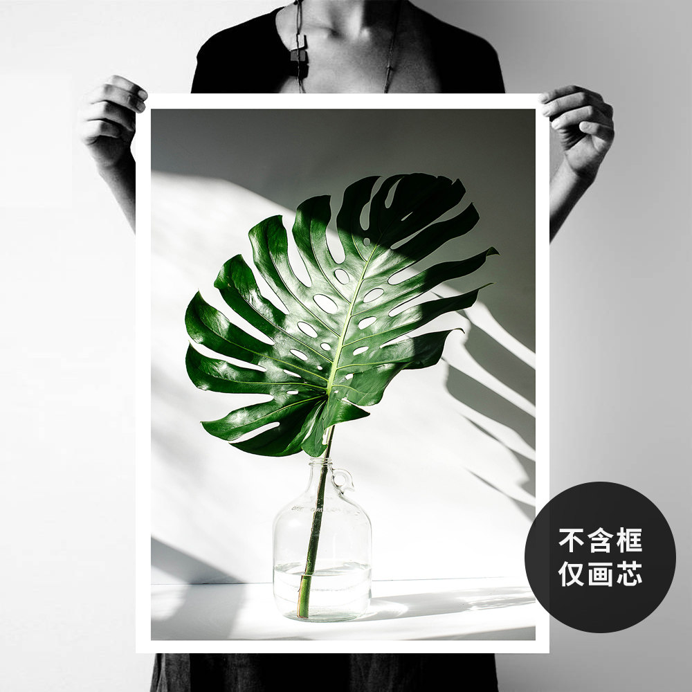 北欧风龟背竹装饰画画芯打印喷绘现代简约玄关卧室植物挂画心喷绘