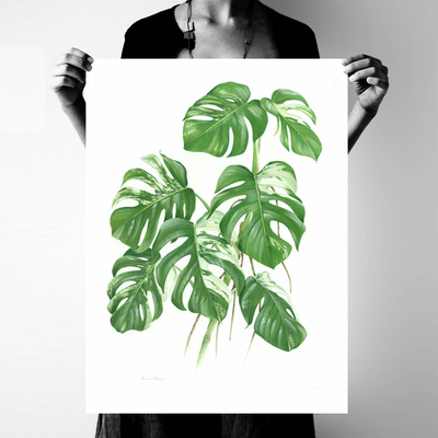 北欧龟背竹植物装饰画芯打印喷绘现代玄关水彩挂画心画布微喷定制