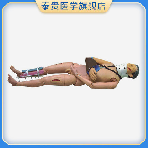 闭合式四肢骨折固定模型