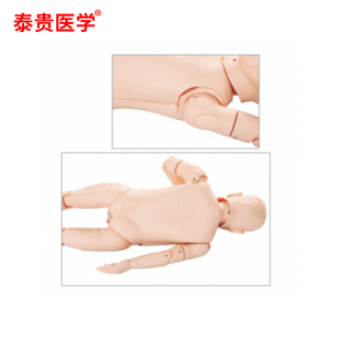 泰贵医学 儿童胸腔穿刺训练模型 TG/L70A