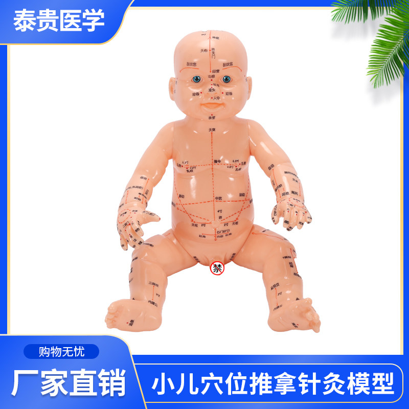 小儿推拿模型婴儿全身穴位扎针练习仿真娃娃按摩针灸月嫂培训教学