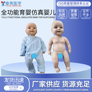泰贵医学 50cm 全功能仿真育婴婴儿 仿真男女婴幼儿教学模型 早教照护保育师育婴员技能训练娃娃