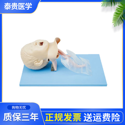 高级儿童气管插管模型泰贵医学