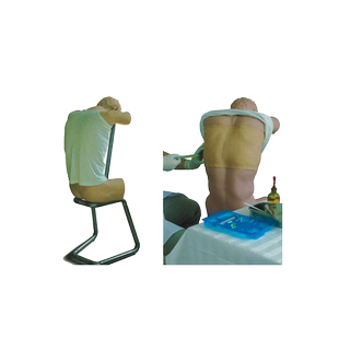 胸腔穿刺模型背部（胸部）穿刺训练模型综合穿刺技能训练假人(前倾坐位)医学教学培训模拟人CK812