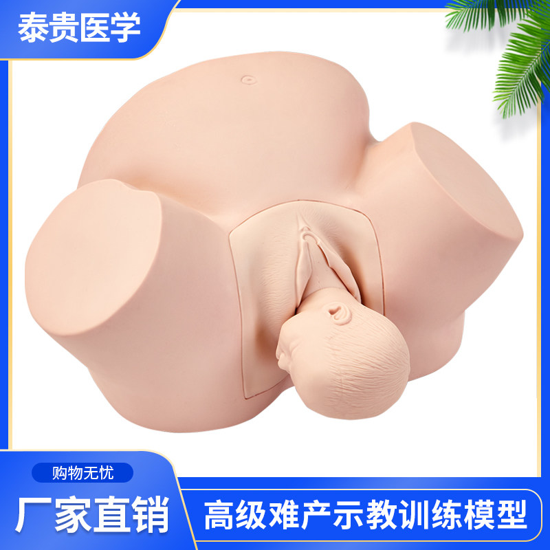 泰贵医学TG/F4高级难产示教训练模型妇科检查孕妇分娩接生助产培训
