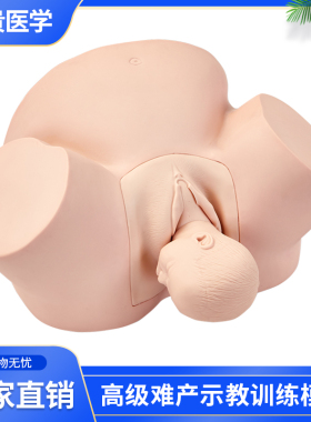 泰贵医学TG/F4高级难产示教训练模型妇科检查孕妇分娩接生助产培训