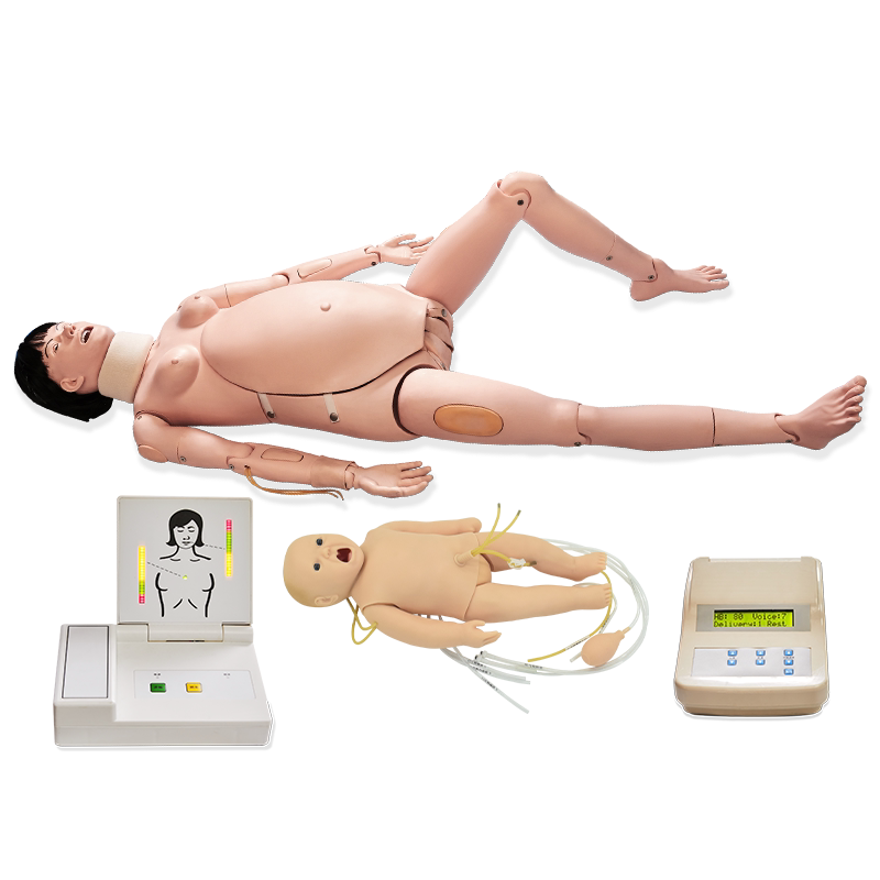 高级分娩与母子急救模型孕妇CPR