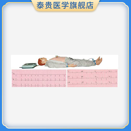 高级多种心电图电脑模拟人训练人体模型心电监护模具波形图ZXD190