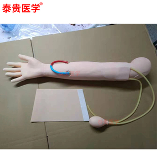 泰贵医学TG/HS52动静脉内瘘穿刺训练手臂模型