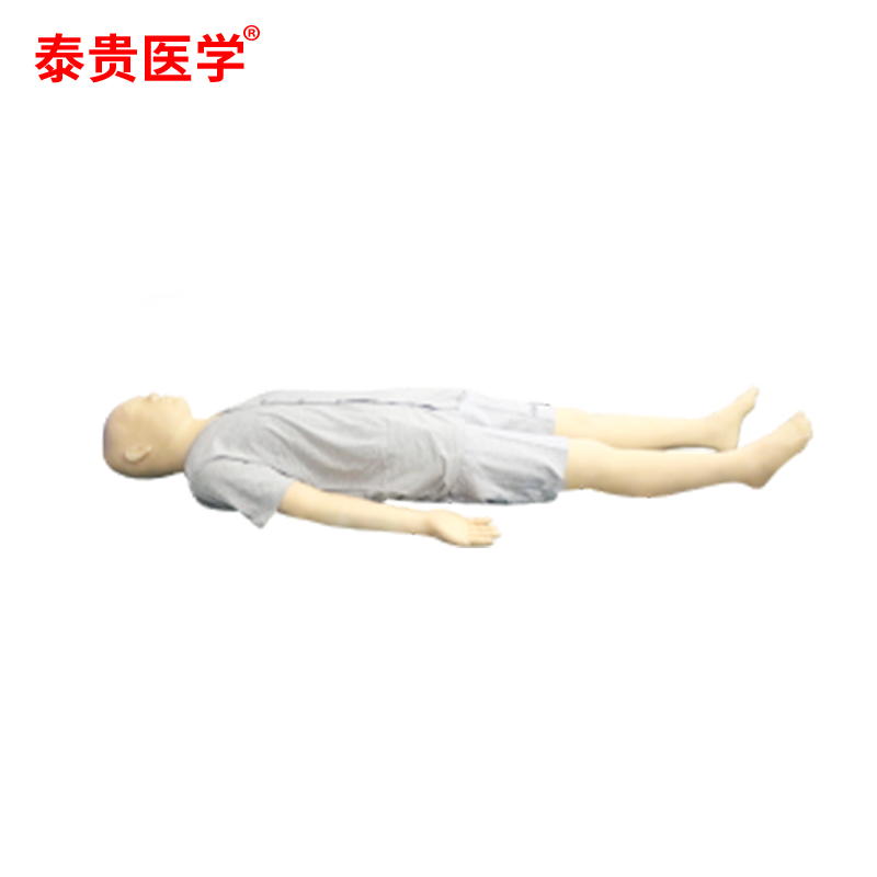 泰贵医学 全功能中医模拟训练模型（常用腧穴的定位和操作） TG-QS20