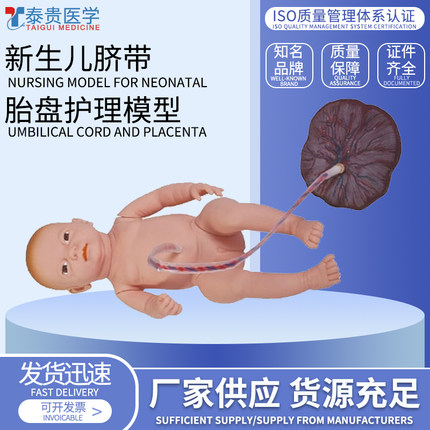 泰贵医学 高级新生儿脐带胎盘护理模型 婴儿脐带结扎及护理操作训练模拟人 TG/H132