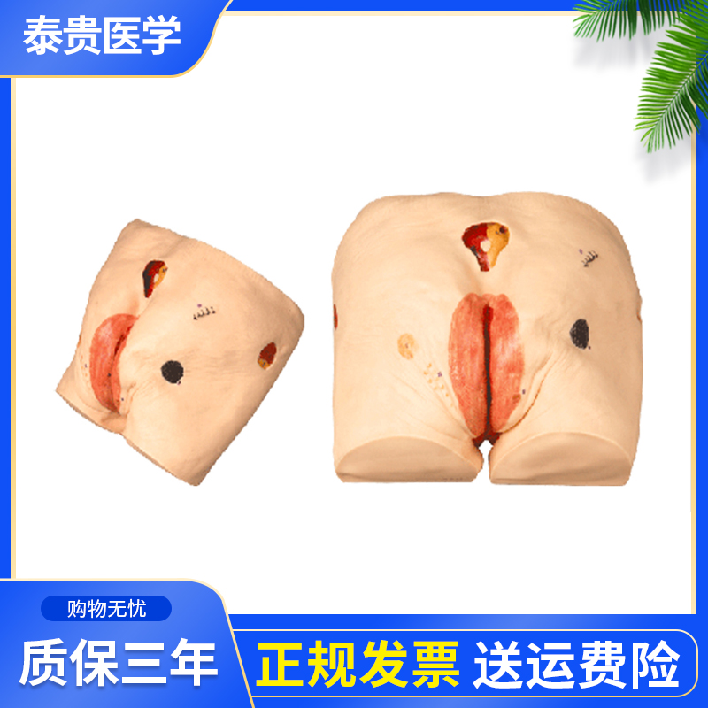 高级压疮(褥疮)护理模型