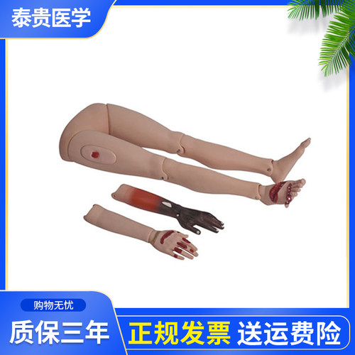 假人体泰贵医学创伤四肢上下肢