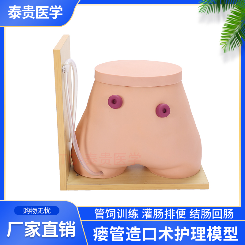 TG/H38高级瘘管造口术护理模型结肠回肠造瘘口管饲训练灌肠排便教学模拟