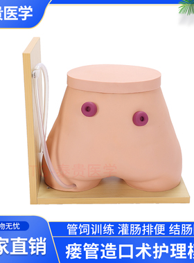 TG/H38高级瘘管造口术护理模型结肠回肠造瘘口管饲训练灌肠排便教学模拟