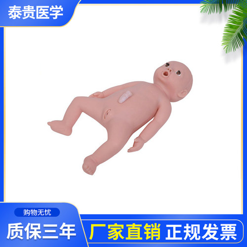 TG/FT13高级婴儿护理模型新生儿模型