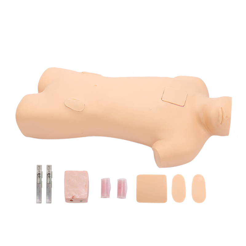 泰贵医学CK816骨髓穿刺训练模型成人胸骨髂骨抽取骨髓液练习模拟人