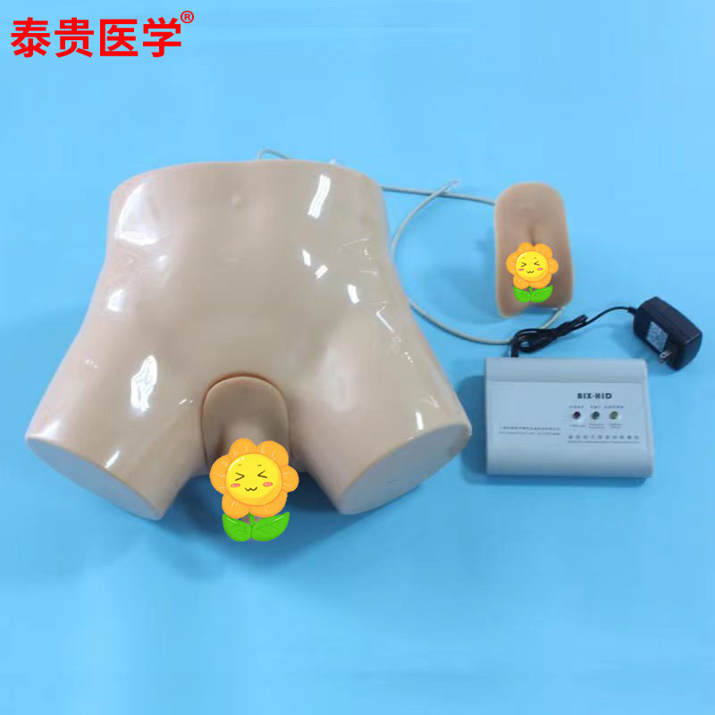 泰贵医学TG/H27电子导尿灌肠教学实习模型 护理实习操作模具 教学仪器