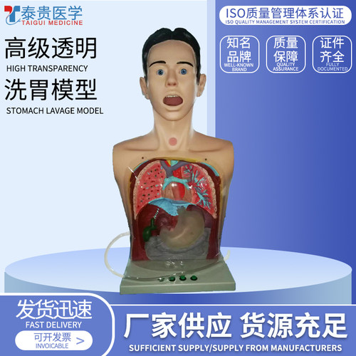 高级透明洗胃模型泰贵医学