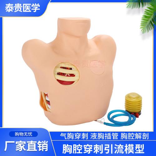 L66胸腔穿刺引流模型气胸液胸
