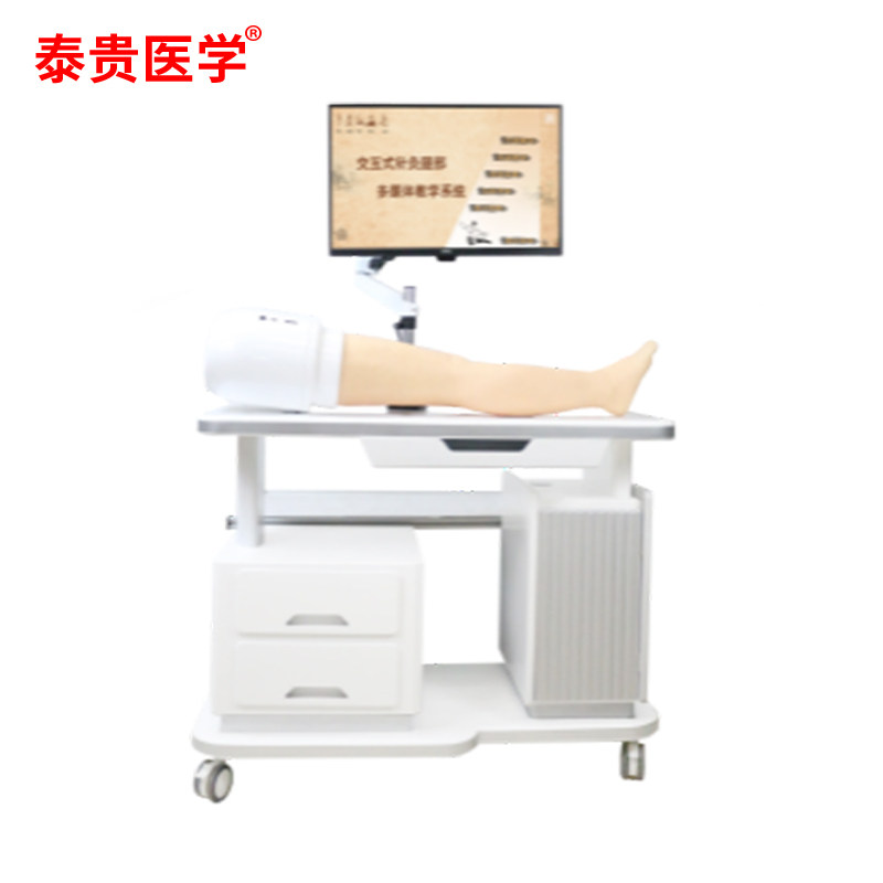 泰贵医学 经络六位显像多媒体教学系统(腿部版 ) TG-3DLEG