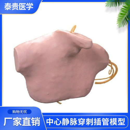 泰贵医学中心静脉穿刺插管模型