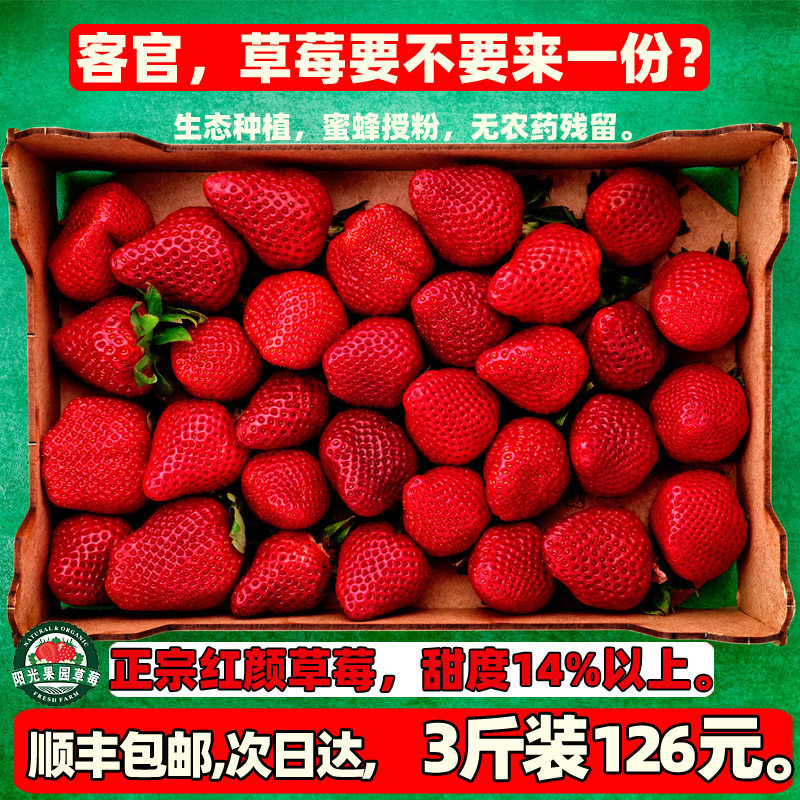 新鲜草莓头茬现摘纯正红颜草莓牛奶奶油甜大水果3斤顺丰武汉包邮